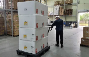 Nova remessa de vacinas contra a gripe reforça campanha em Santa Catarina