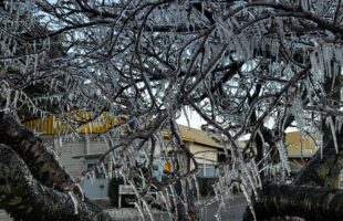 Bom Jardim da Serra registra -9,3°C e tem uma das manhãs mais frias do ano