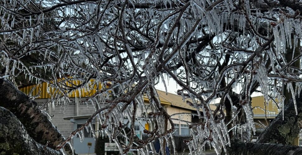 Bom Jardim da Serra registra -9,3°C e tem uma das manhãs mais frias do ano