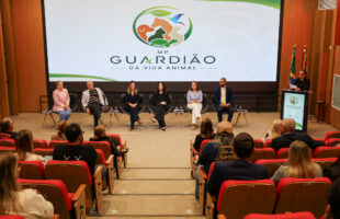 Lauro Müller integra lista dos 10 municípios de SC com maior incidência de maus-tratos a animais