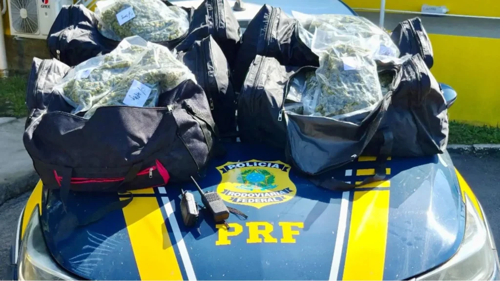 PRF apreende 24 quilos de skunk na BR-101 e prende motorista em flagrante
