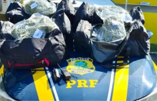 PRF apreende 24 quilos de skunk na BR-101 e prende motorista em flagrante