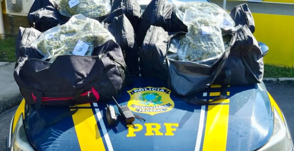 PRF apreende 24 quilos de skunk na BR-101 e prende motorista em flagrante