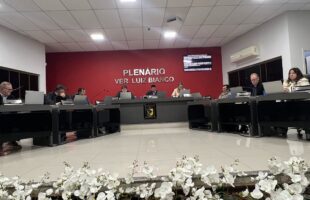 Câmara de São Ludgero aprova reconhecimento da Associação de Proteção Animal e debate premiação da Taça Cegero de Futsal
