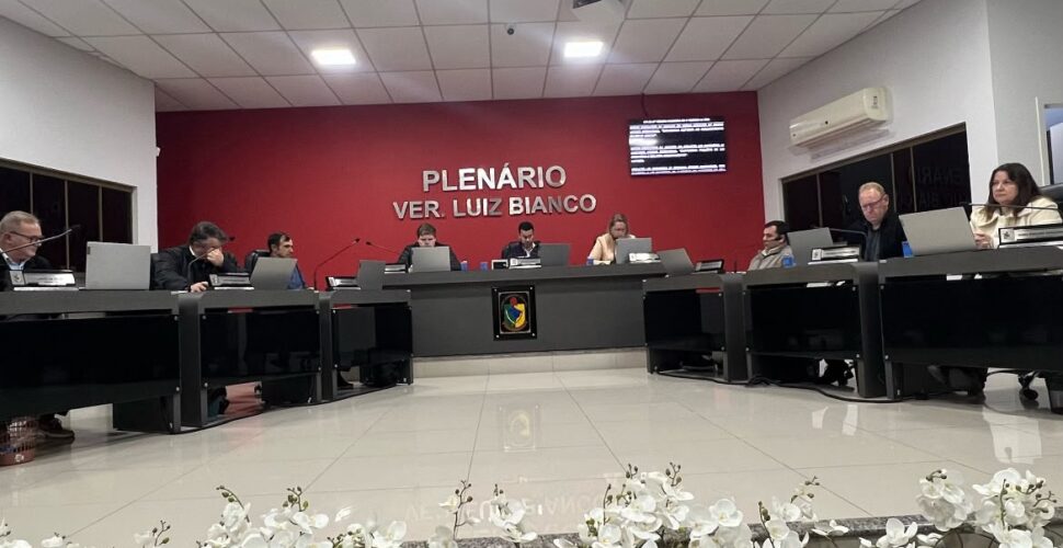 Câmara de São Ludgero aprova reconhecimento da Associação de Proteção Animal e debate premiação da Taça Cegero de Futsal