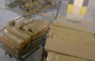 PRF apreende quase 500 quilos de maconha escondidos em carro transportado por guincho em Porto Belo