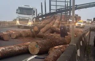 Toras de madeira caem na BR-101 e provocam bloqueio parcial em Araranguá
