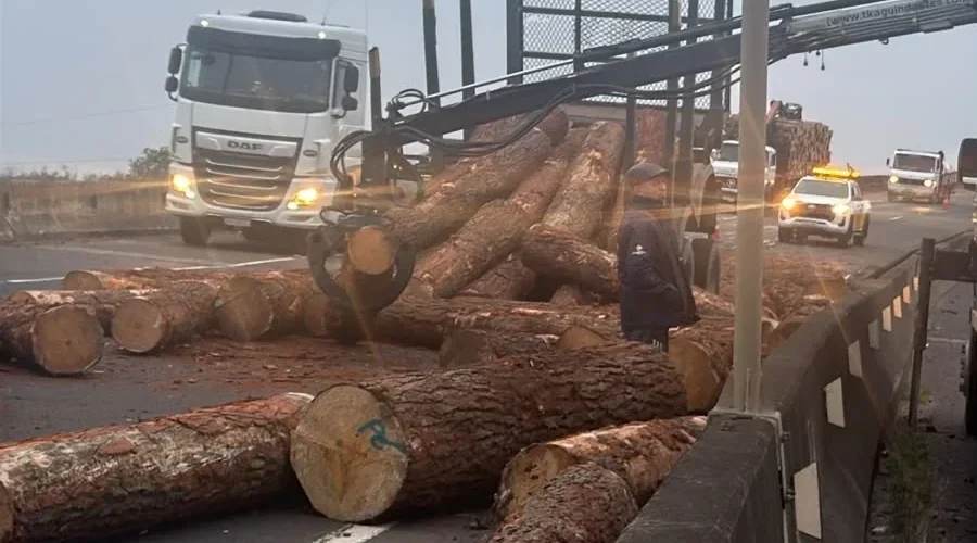 Toras de madeira caem na BR-101 e provocam bloqueio parcial em Araranguá