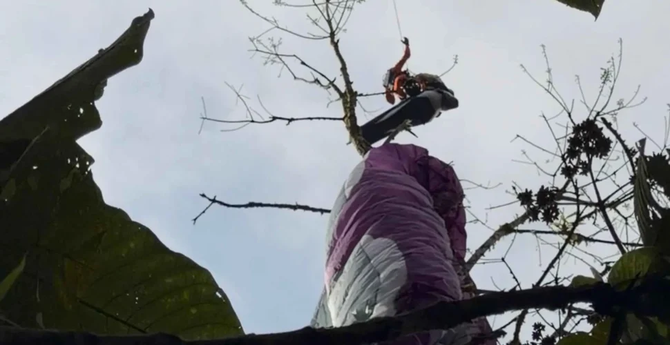Parapentista fica preso em árvore após acidente em Timbó e é resgatado sem ferimentos