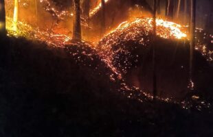 Incêndio em área de eucalipto mobiliza bombeiros em Treze de Maio