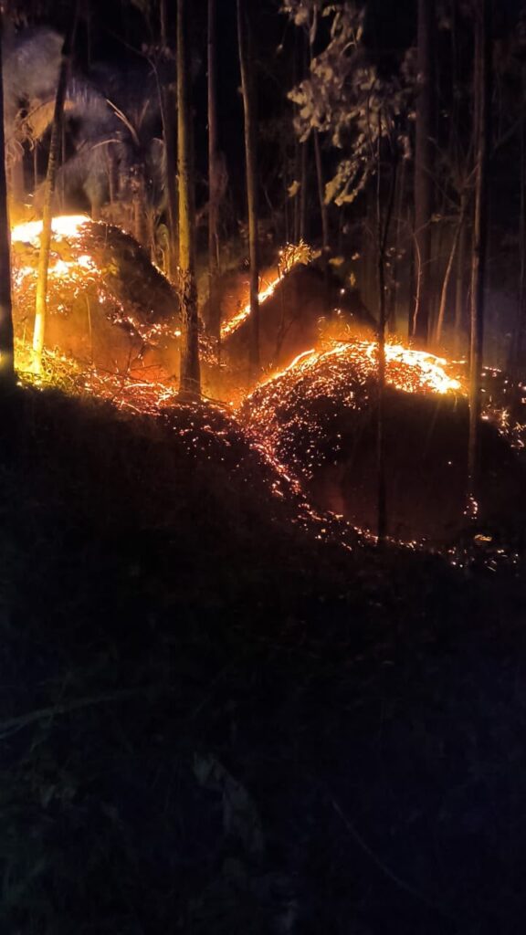 Incêndio em área de eucalipto mobiliza bombeiros em Treze de Maio