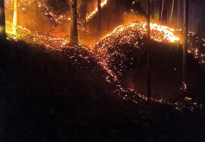 Incêndio em área de eucalipto mobiliza bombeiros em Treze de Maio