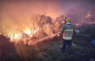Incêndio em área de vegetação se aproxima de residências em São Joaquim