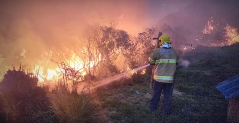 Incêndio em área de vegetação se aproxima de residências em São Joaquim