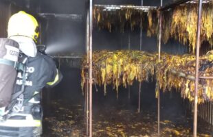 Incêndio atinge estufa de fumo em galpão de Maracajá