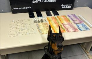 PM apreende cocaína, maconha e crack durante operação contra tráfico em Orleans