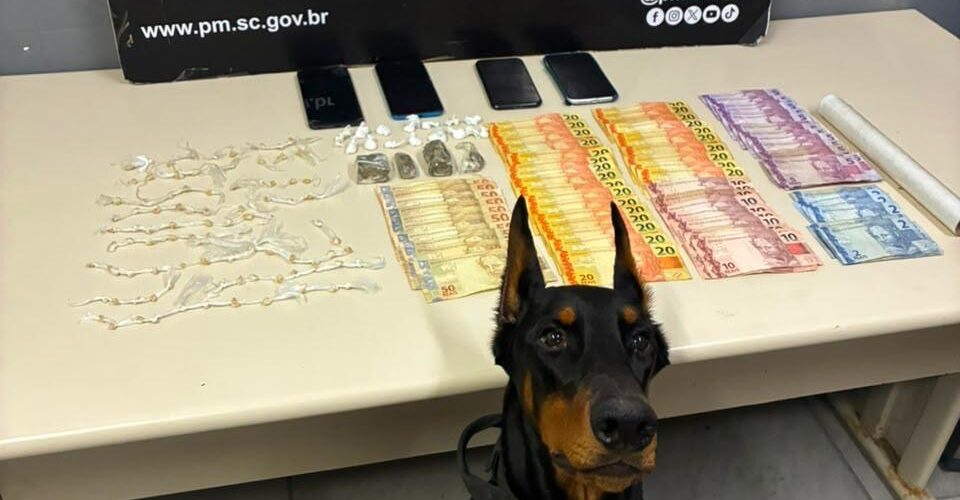 PM apreende cocaína, maconha e crack durante operação contra tráfico em Orleans