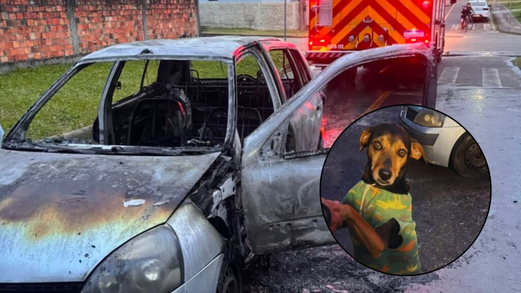 Homem é suspeito de incendiar carro com cachorro dentro em Criciúma