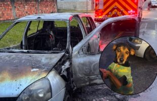 Homem é suspeito de incendiar carro com cachorro dentro em Criciúma