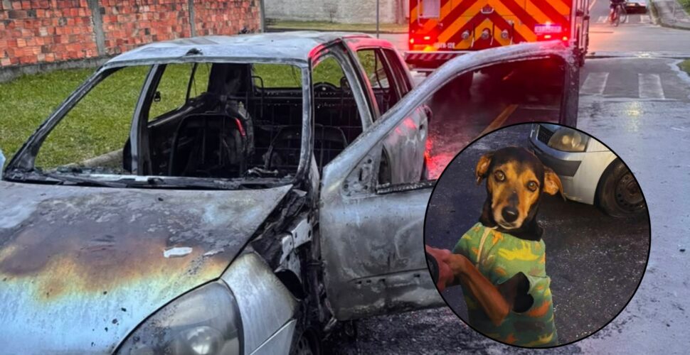 Homem é suspeito de incendiar carro com cachorro dentro em Criciúma