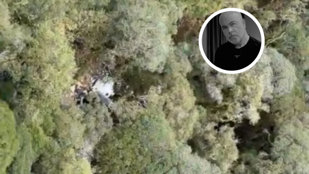 Causa da queda de helicóptero que matou cantor Rick ainda é investigada em Urubici