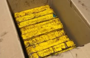 Operação da Polícia Civil prende três e apreende drogas e armas em cidades de SC