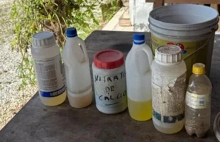 Mulher é investigada por suspeita de envenenar 11 gatos em Navegantes