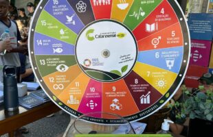 CCL desenvolve projetos sociais voltados à comunidade e à sustentabilidade