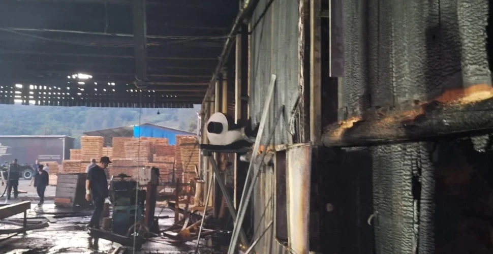 Incêndio destrói parte de estrutura industrial durante a madrugada em Braço do Norte