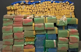 PM apreende cerca de 1,1 tonelada de maconha em residência em Jaguaruna