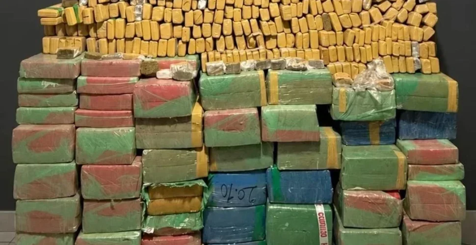 PM apreende cerca de 1,1 tonelada de maconha em residência em Jaguaruna