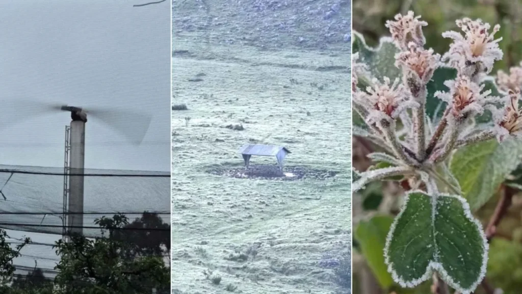 Sistema antigeada é acionado para proteger pomares de maçã durante frio intenso em São Joaquim