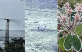 Sistema antigeada é acionado para proteger pomares de maçã durante frio intenso em São Joaquim