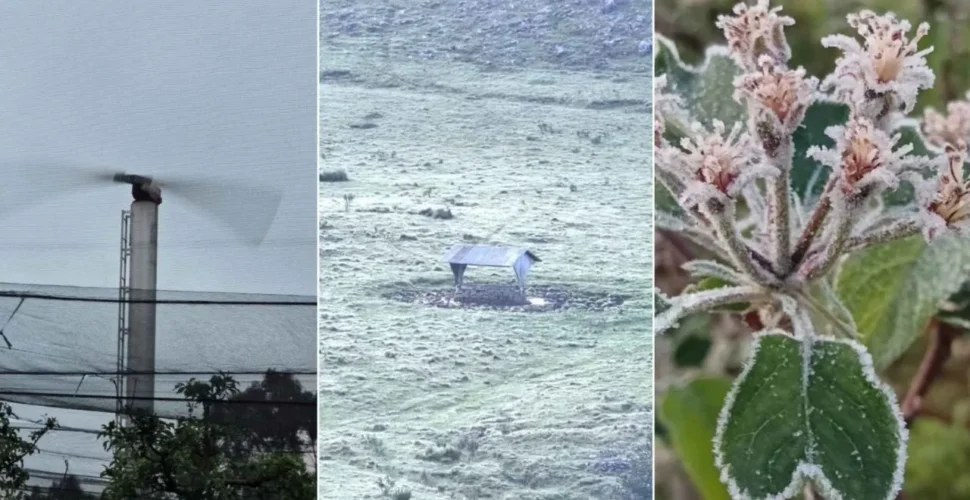 Sistema antigeada é acionado para proteger pomares de maçã durante frio intenso em São Joaquim