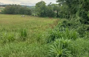 Corpo em decomposição é encontrado durante buscas por homem desaparecido em São José do Cedro