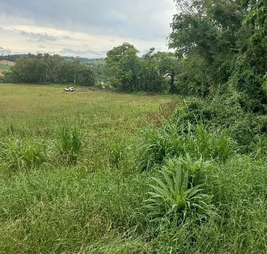 Corpo em decomposição é encontrado durante buscas por homem desaparecido em São José do Cedro