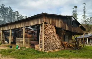 Incêndio em estufas de fumo causa prejuízo de R$ 200 mil em Orleans