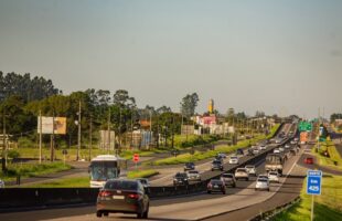 Mais de 620 mil veículos devem passar pelo trecho sul da BR-101 durante feriado
