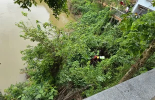 Idosa cai em ribanceira ao tentar colher limões em Braço do Norte