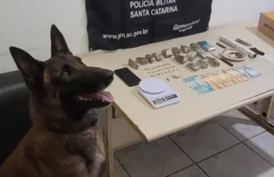 Jovem é preso por tráfico de drogas em Sombrio