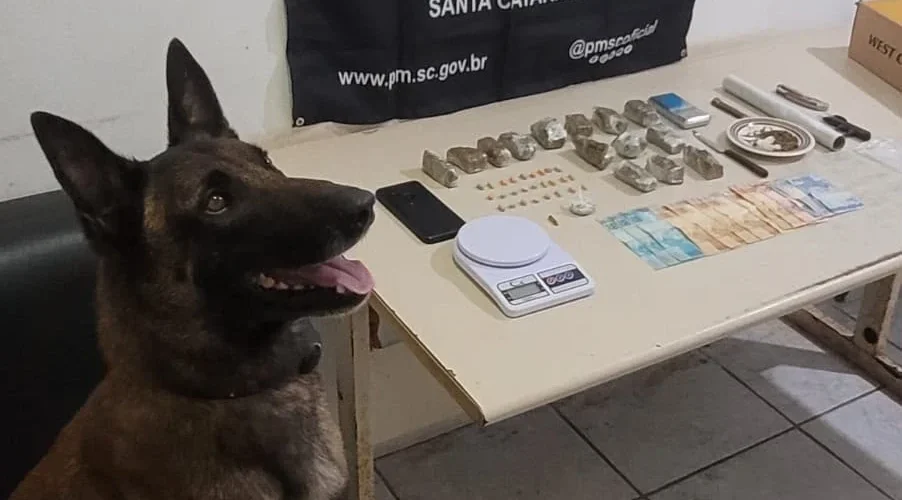 Jovem é preso por tráfico de drogas em Sombrio